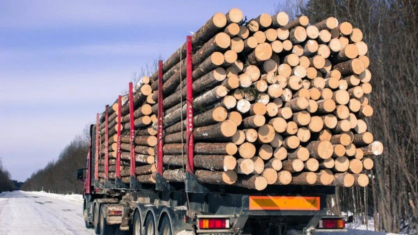 КАМАЗ 6423 лесовоз