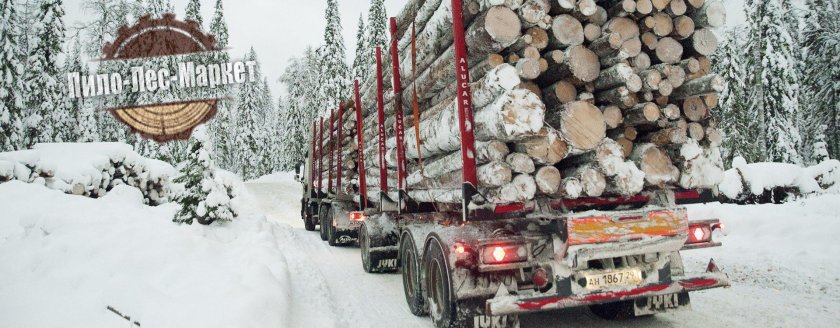 КАМАЗ 6423 лесовоз