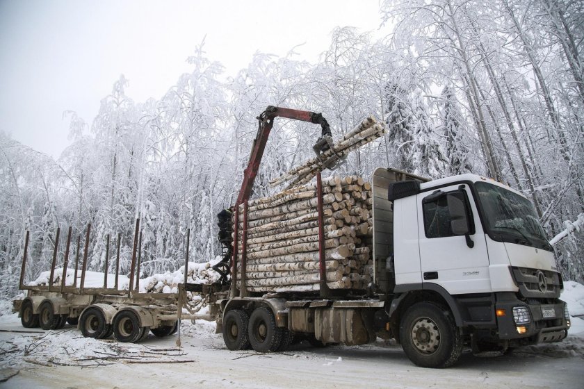 КАМАЗ 5262 лесовоз