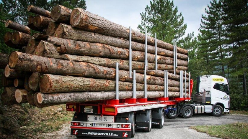 Лесовоз 20 кубов