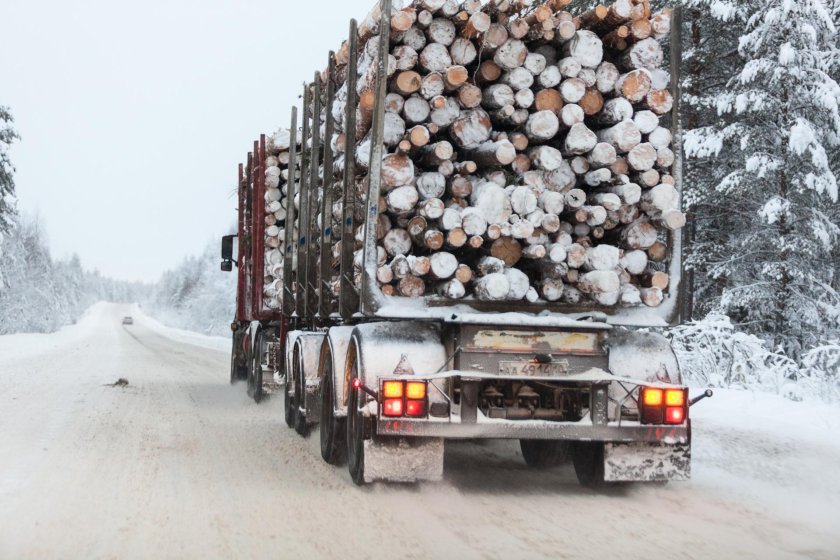 КАМАЗ 43118 бортовой груженый дровами