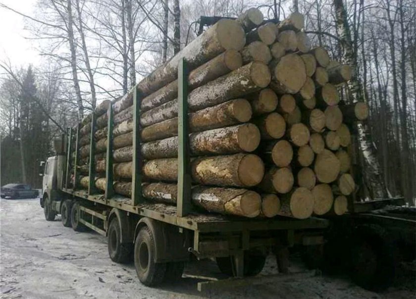 КАМАЗ 75 кубов леса