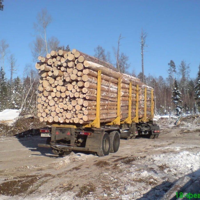 КАМАЗ лесовоз груженый лесом