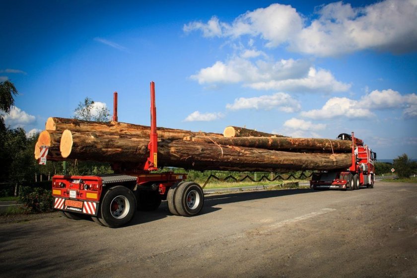 Длинномерный трал 25 метров с кониками