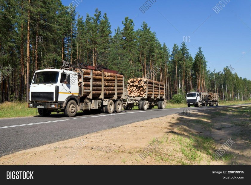 КАМАЗ сортиментовоз с лесом