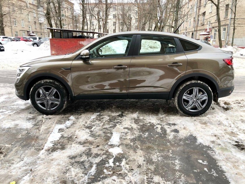 Аркана коричневая фото