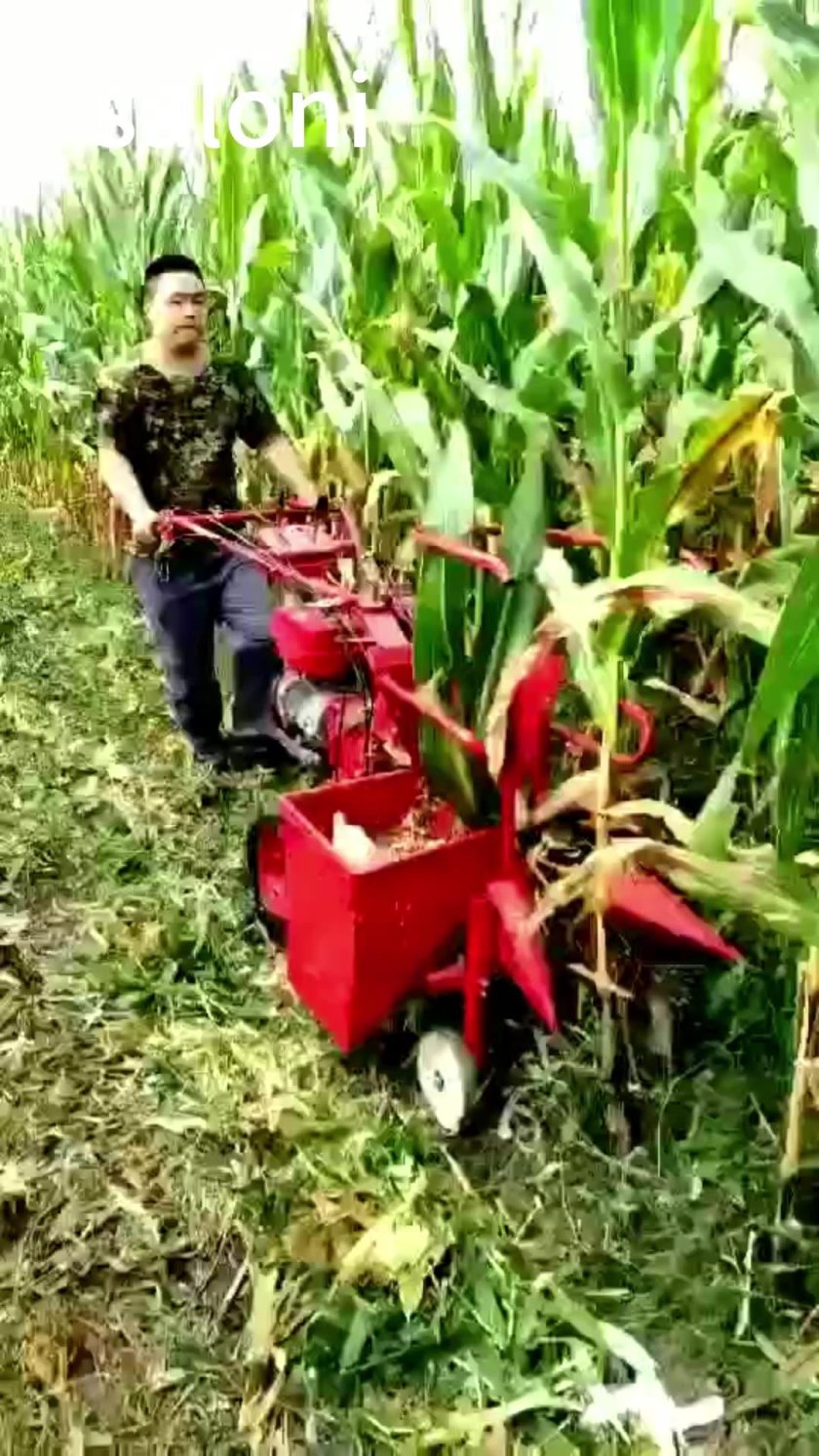 Мини комбайн для силоса кукурузы