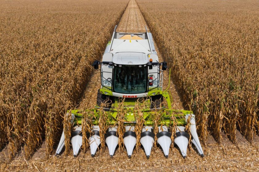 Жатка CLAAS Corio Conspeed