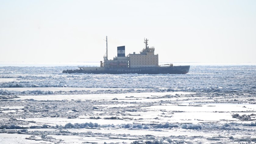 Сабетта СУДС Росморпорт