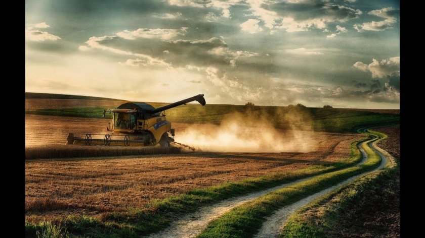 Комбайн Нива в поле