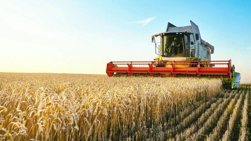 Сельское хозяйство урожай