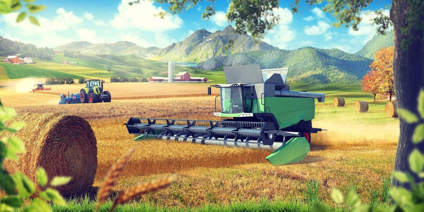 Поле сельское хозяйство