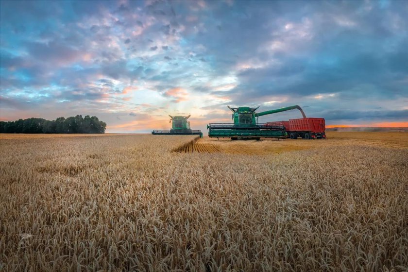 Уборка пшеницы в Краснояружском районе 2022