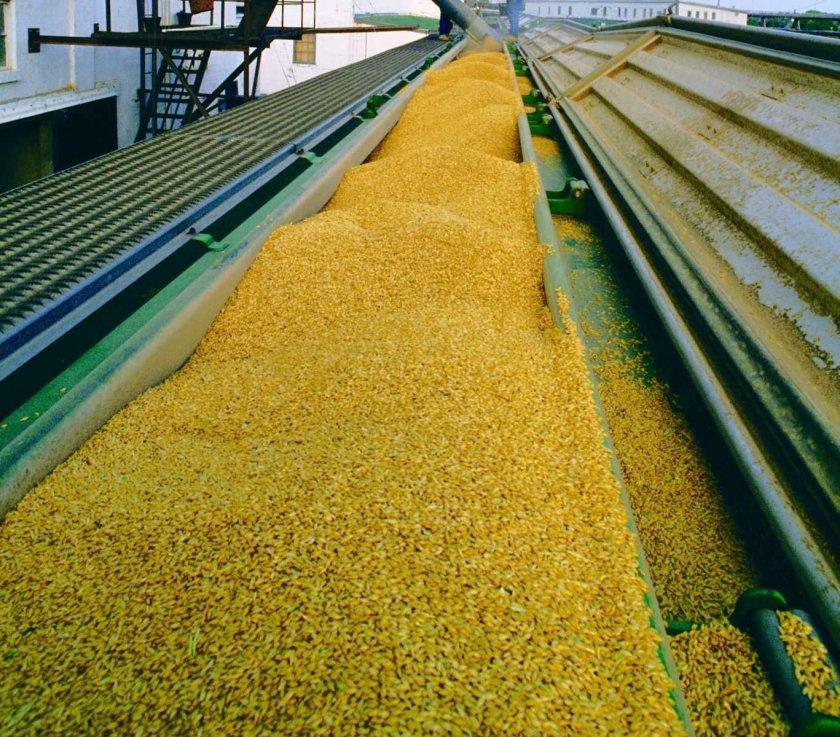 Ленточный конвейер для зерна