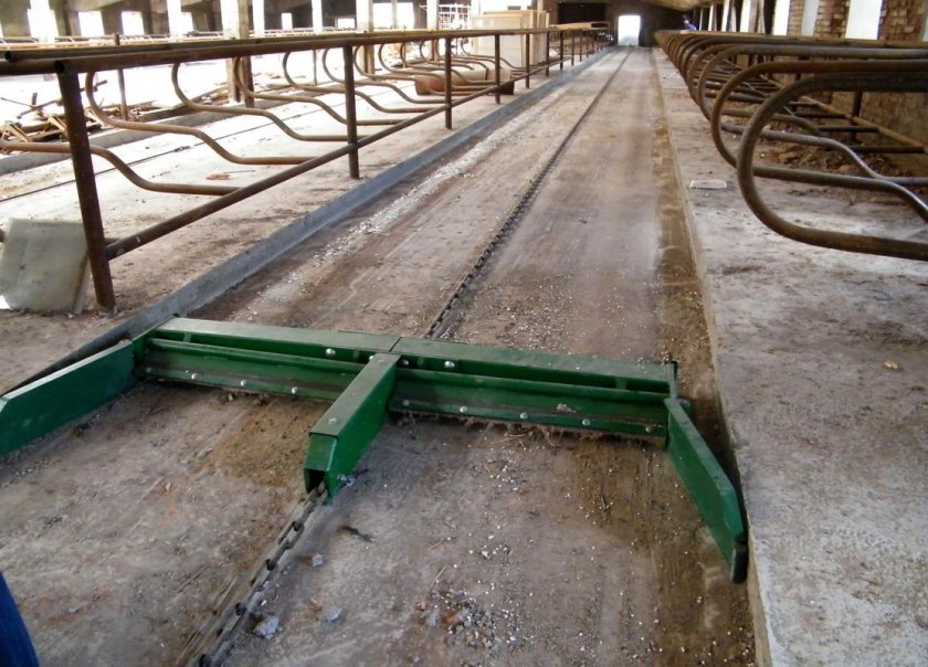 Навозоуборочный Транспортер КСН-Ф-100