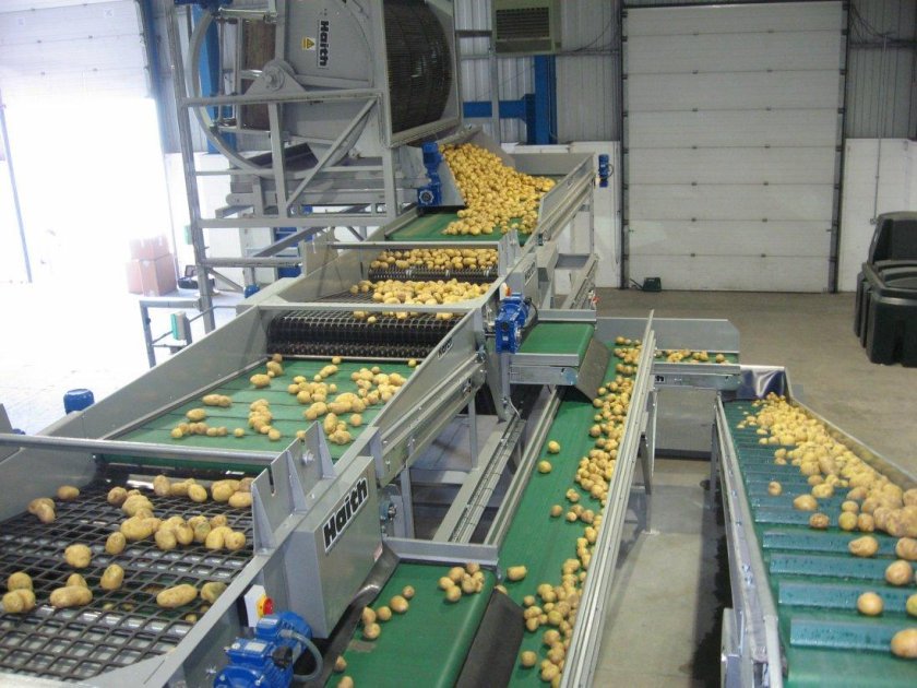 Линия сортировки картофеля