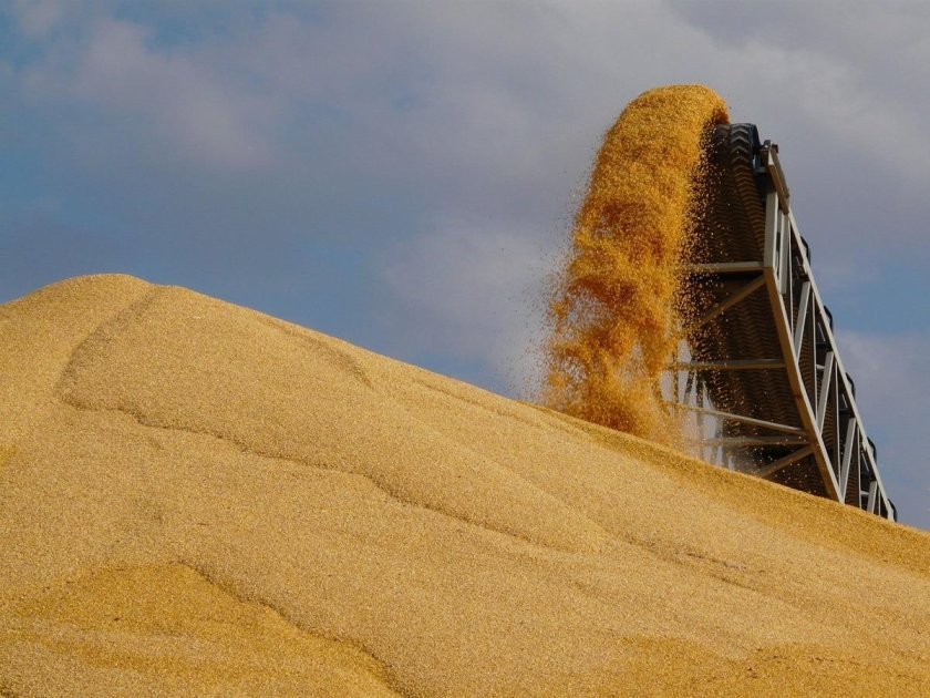 Ленточный конвейер для зерна