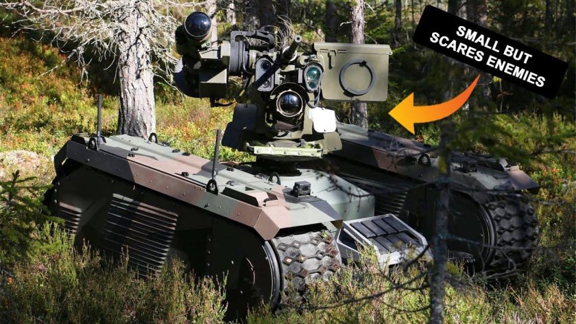 Военные роботы Рейнметалл