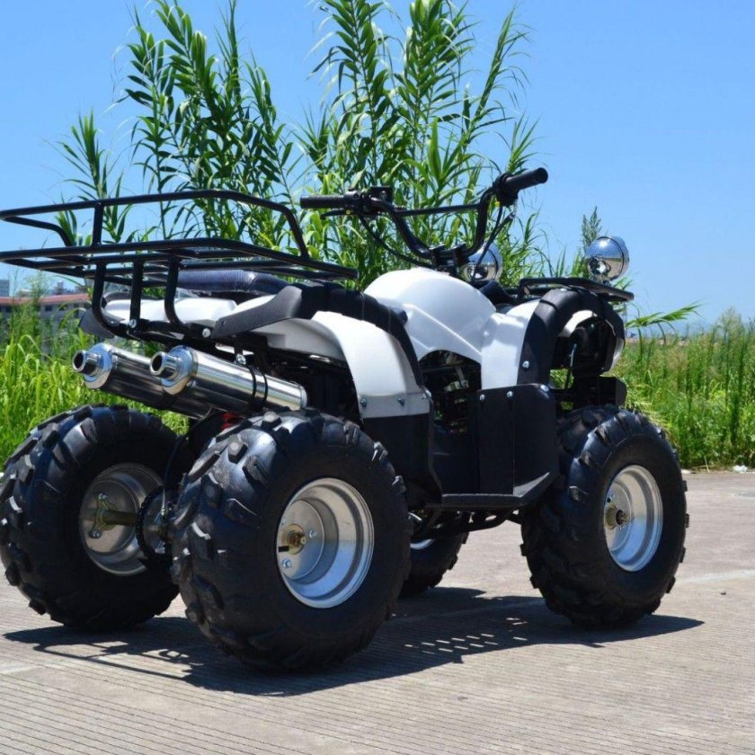 UTV 4 Wheel Buggy