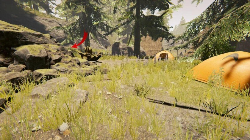 Пещера 7 зе Форест