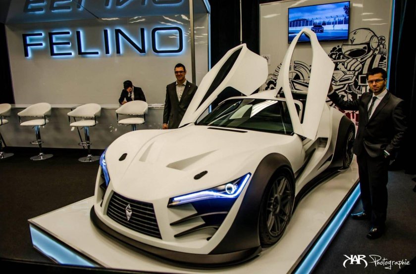 Felino cb7 салон