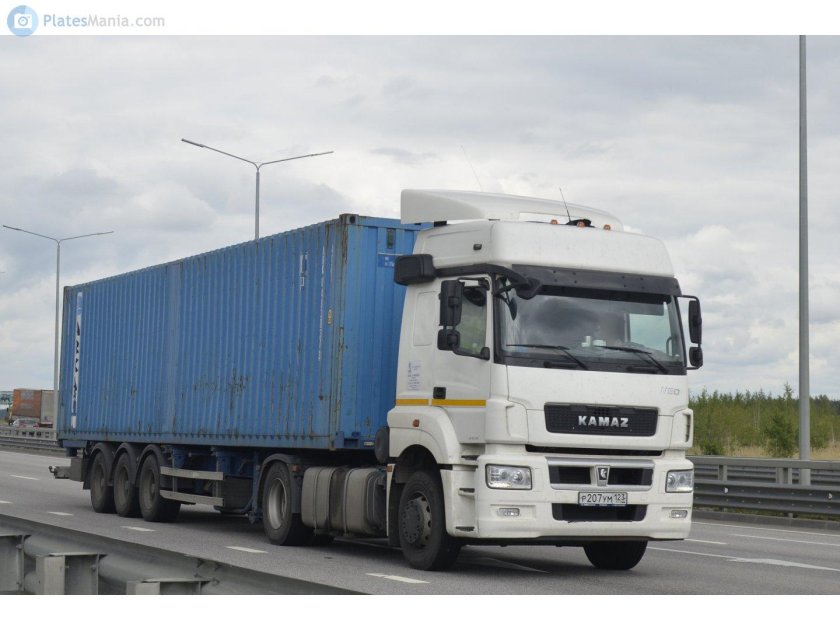 КАМАЗ 5490 Нео контейнеровоз