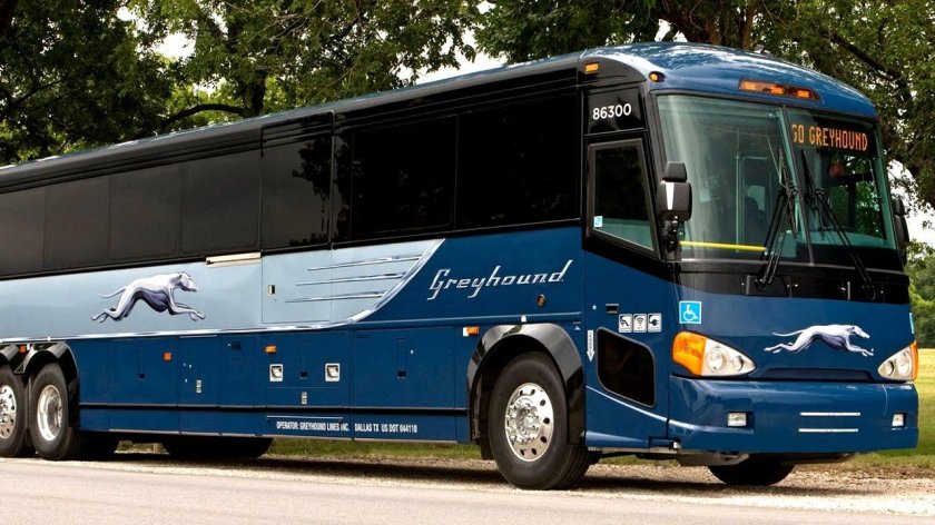 Американские автобусы Грейхаунд