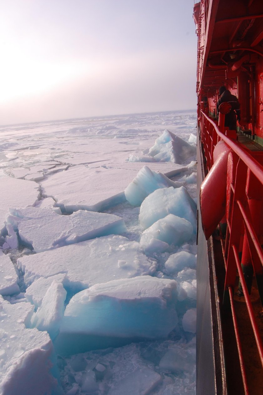 Во льдах Арктики