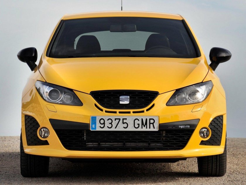 Seat Ibiza 2009