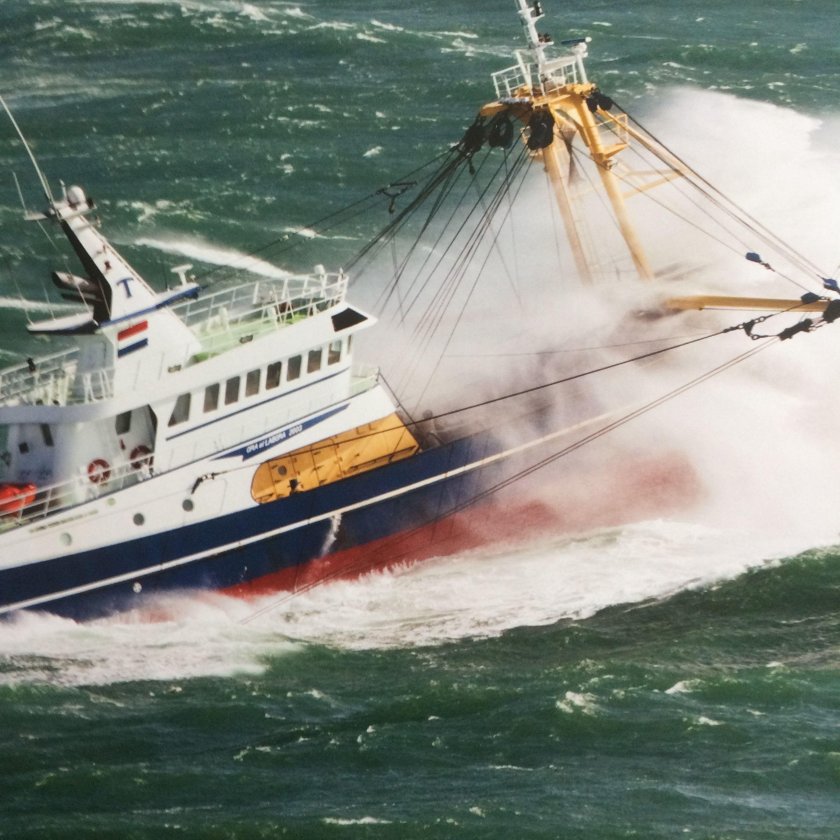 Корабль Fishys