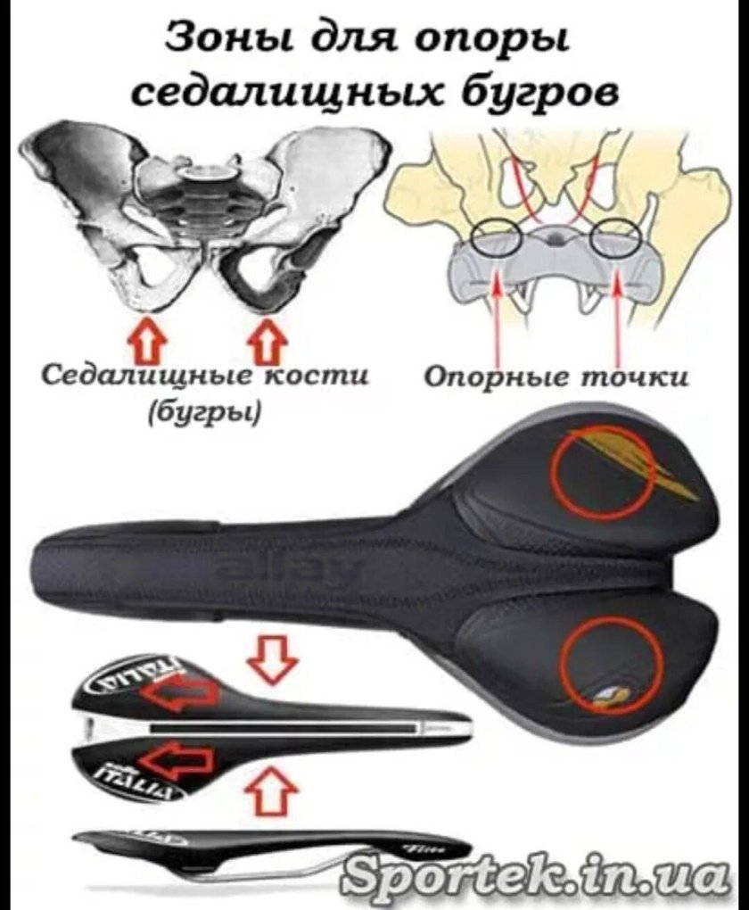 Таблица подбора велосипедного седла