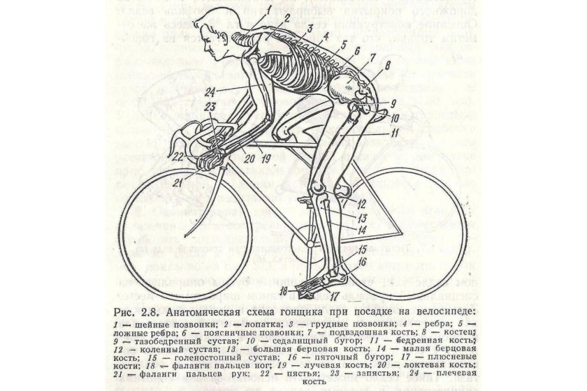 Шоссейный велосипед посадка схема