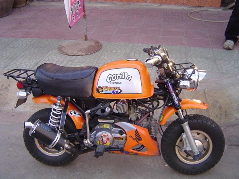 Honda Gorilla 50