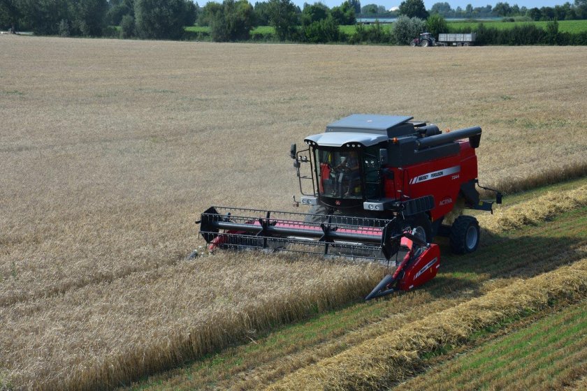 Комбайн Massey Ferguson MF 7347 S Activa