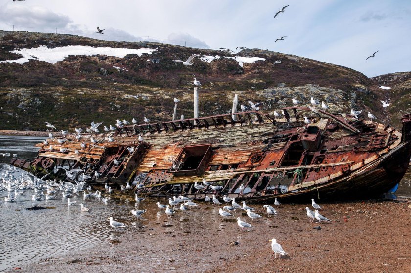 Кладбище кораблей Териберка
