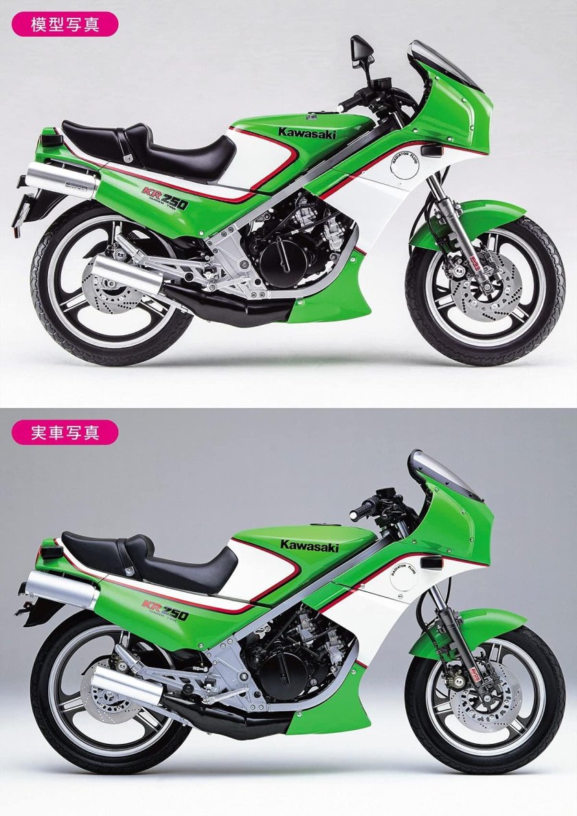Kawasaki kr
