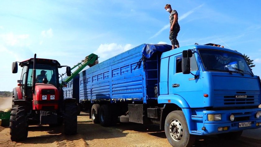КАМАЗ щука зерновоз