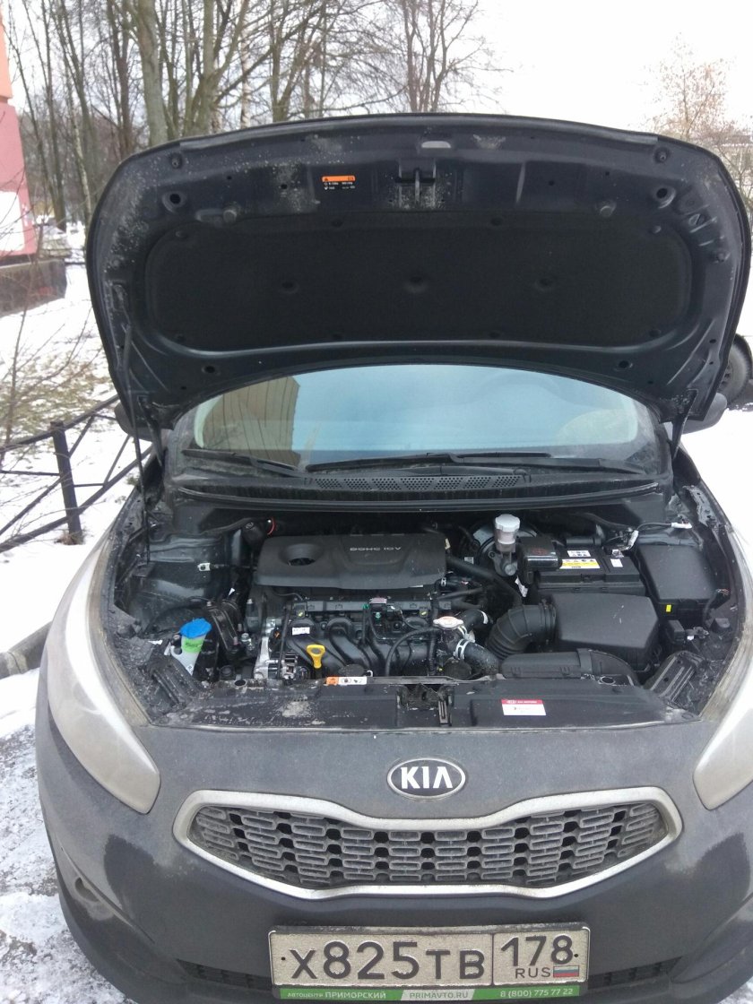 Капот Киа СИД 2013