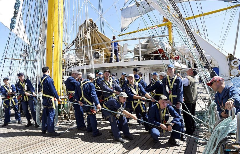 Паллада Владивосток кругосветка