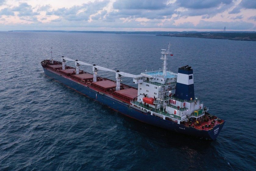 Сухогрузы Украина море