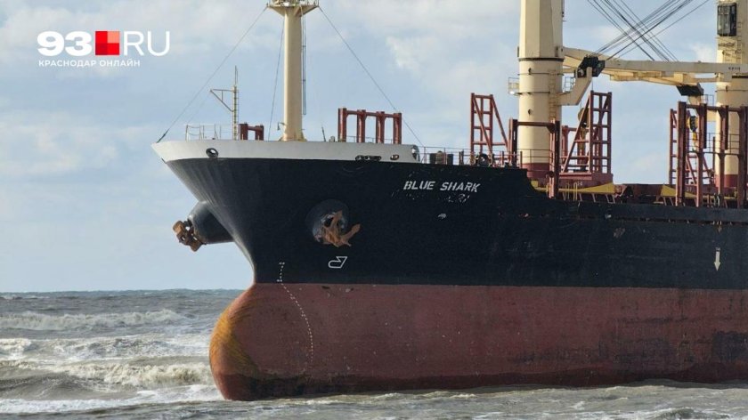 Сухогруз Blue Shark