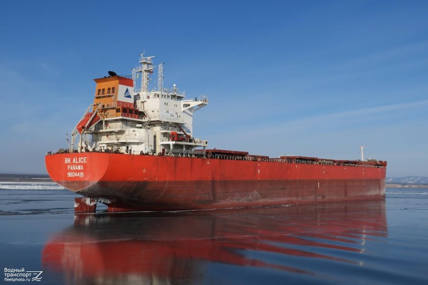 Сухогрузы морские