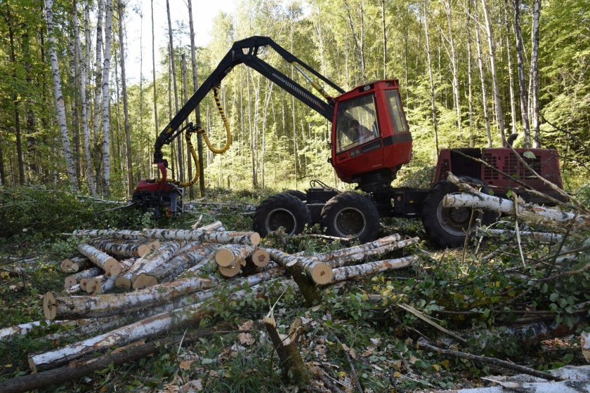 Техника для лесозаготовки