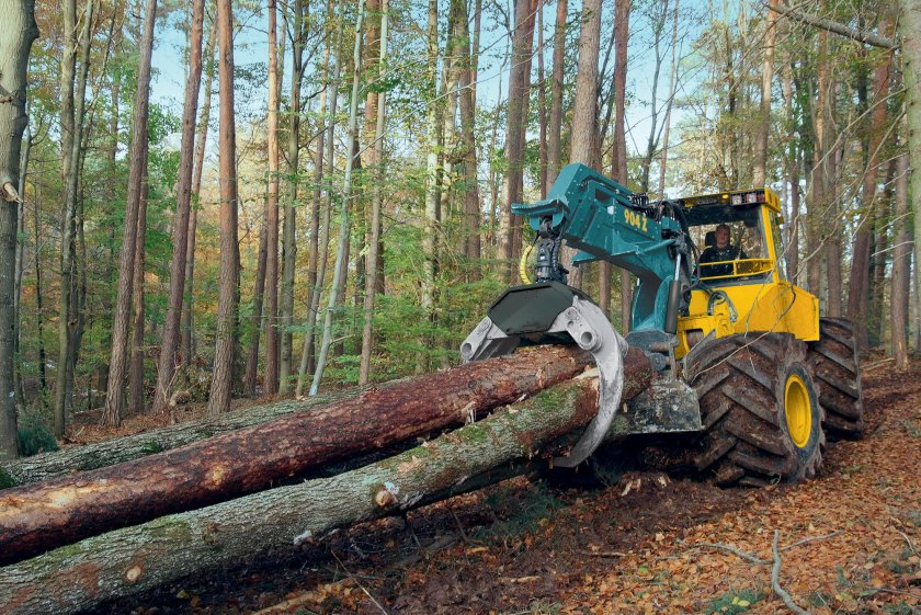 Бесчокерная трелевка древесины