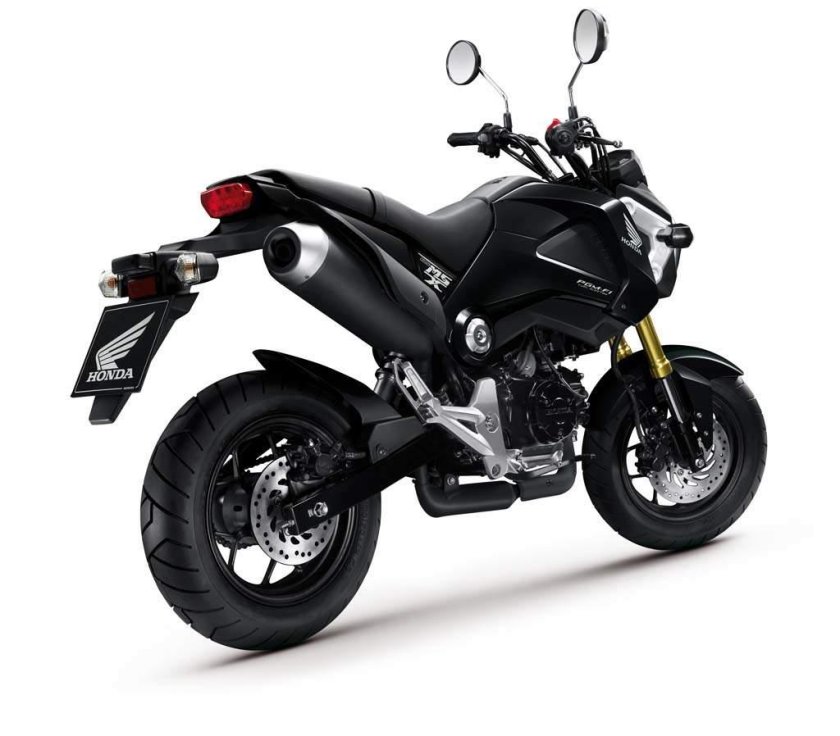 Honda MSX 125 / 125 Monkey