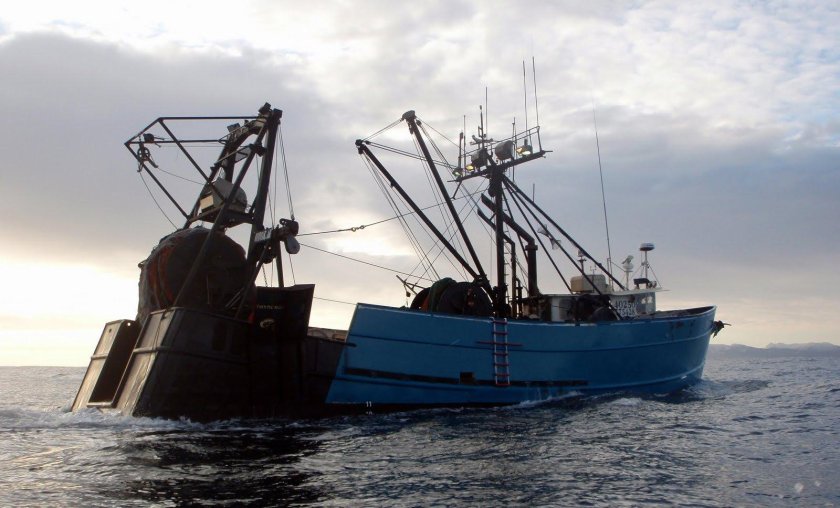Траулер т30в Вымпел