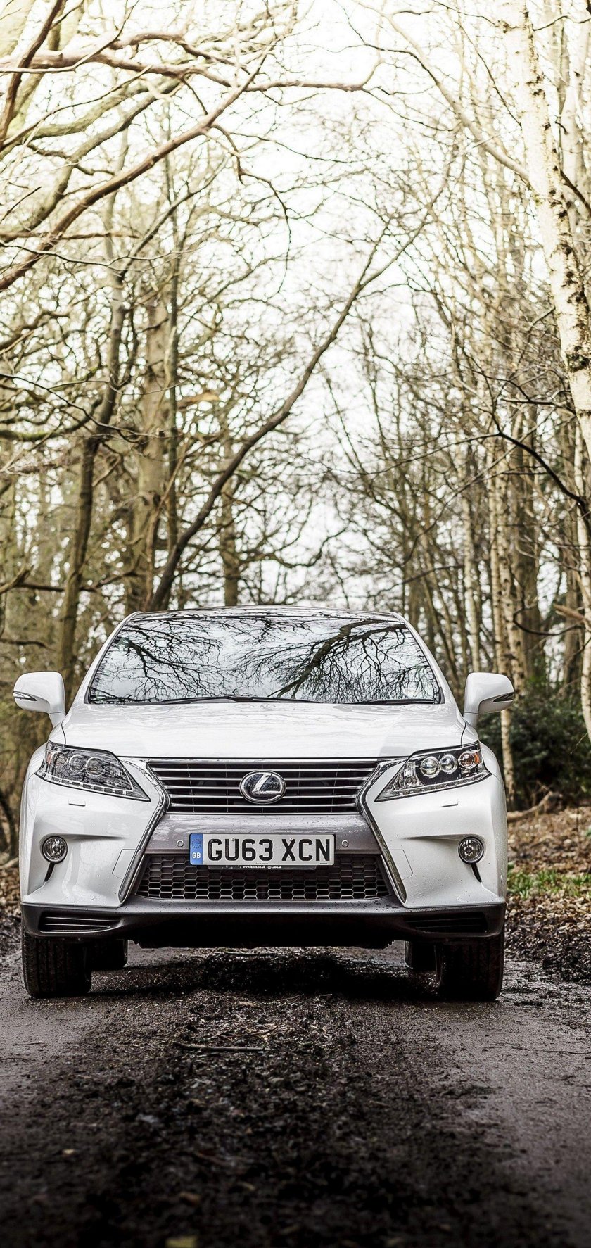 Lexus rx450h белый