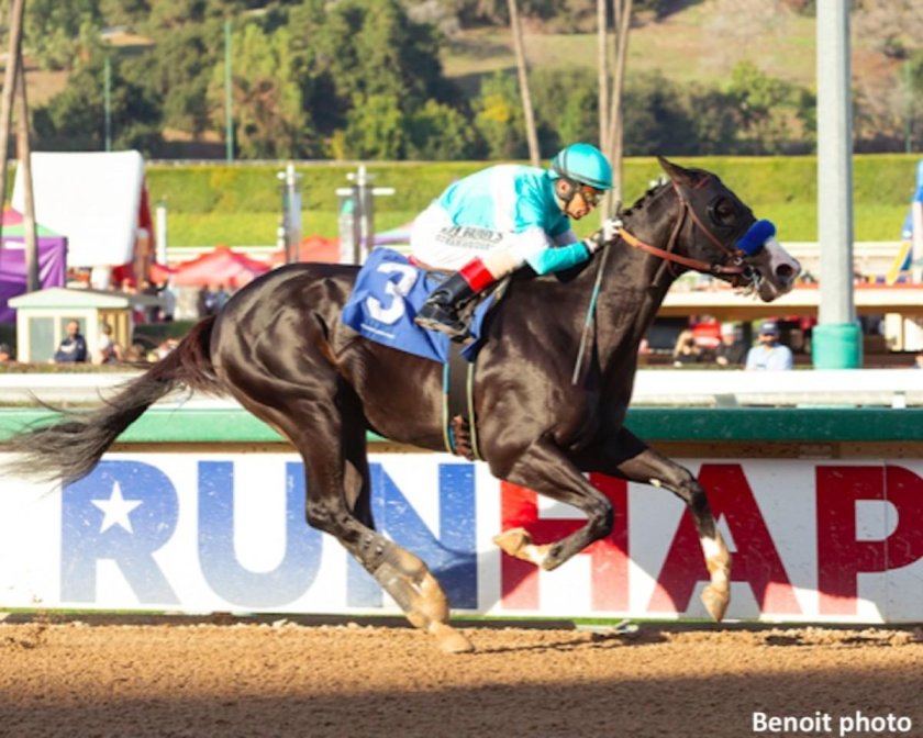 Флайтлайн лошадь