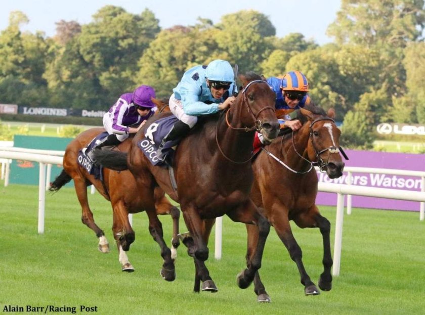 Скачки фото Триумфальная