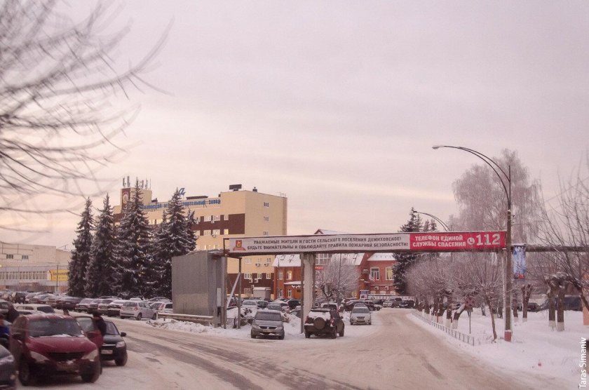 ДМЗ Демихово